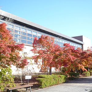 三段池公園総合体育館