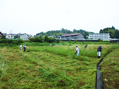 荒廃農地防止