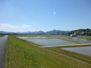 田植え終了