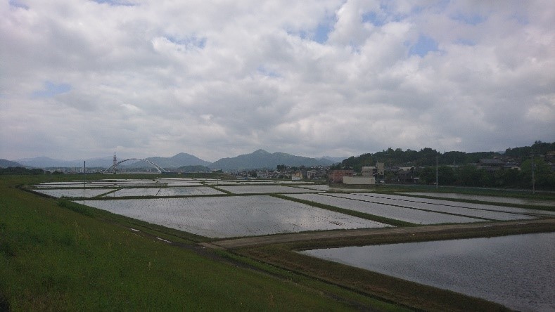 田植え終わる