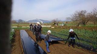 遊休農地活用