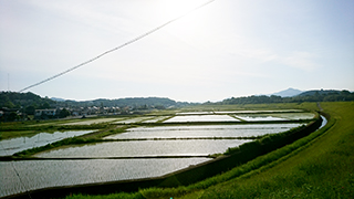 田植え終わる(5月19日)