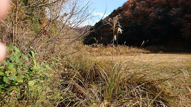 遊休農地草刈り