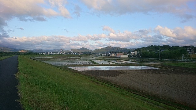 今年も田植え始まる