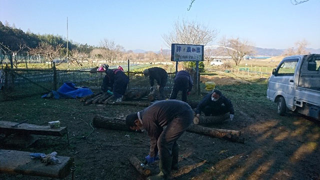 絆農園（遊休農地利活用）