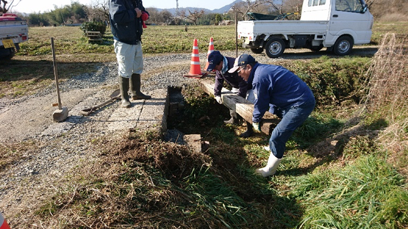 田植え