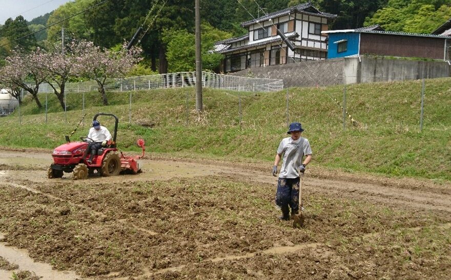 醍醐寺住職（一常宗観）稲作に挑戦