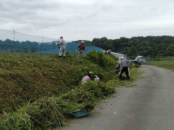 猪崎GG同好会除草作業