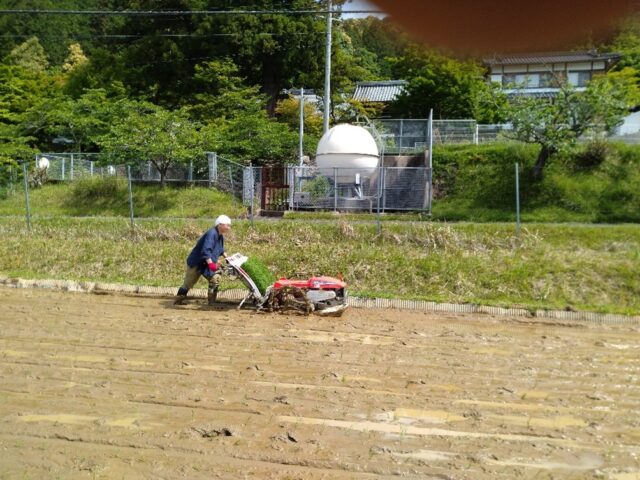 猪崎の田植最後、醍醐寺さん、本年も元気に田植え（３年目）来年は増産予定。