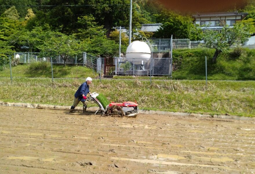 猪崎の田植最後、醍醐寺さん、本年も元気に田植え（３年目）来年は増産予定。