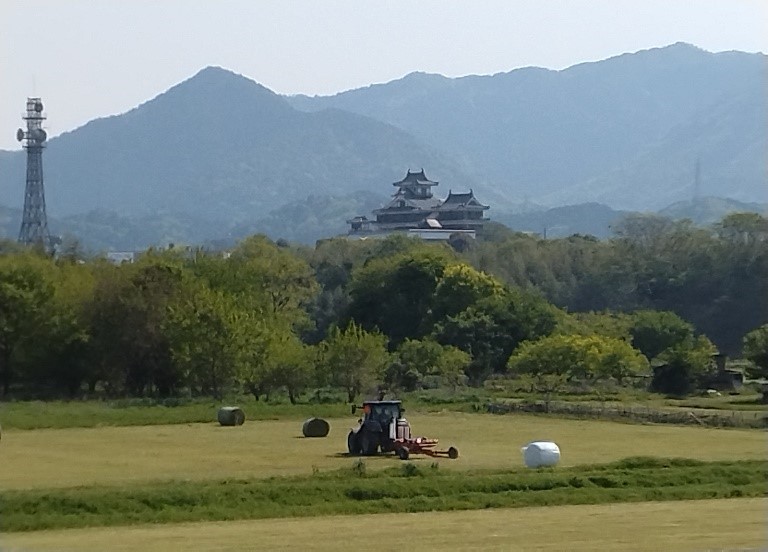 堤外イタリアングラス収穫、堤内田植準備（代かき）終了