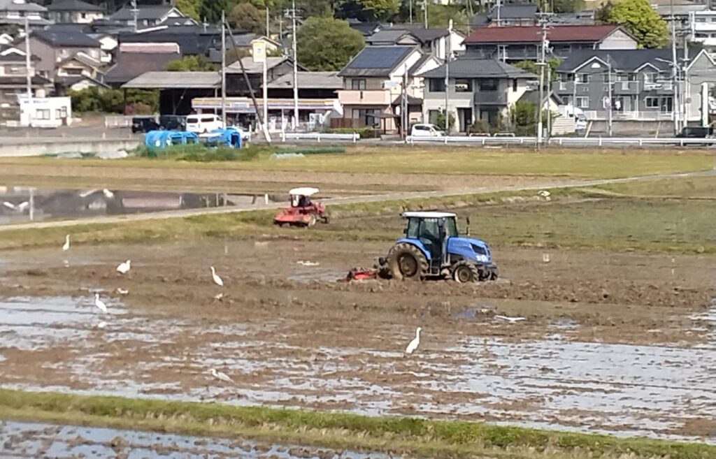 令和8年4月25日　代かき始まる1
