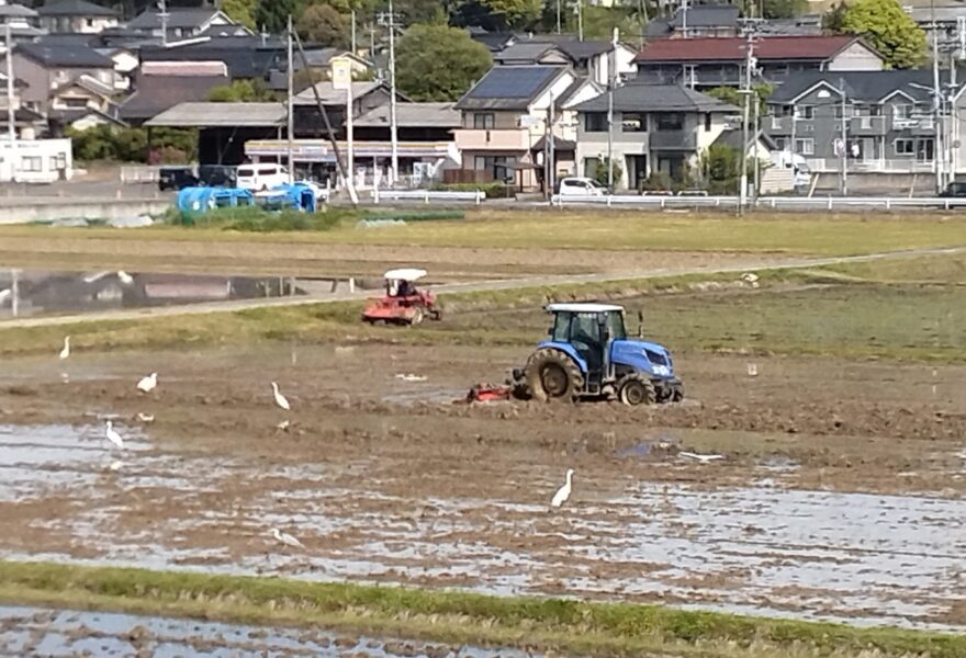 令和8年4月25日　代かき始まる