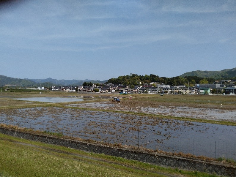 令和8年4月25日　代かき始まる2