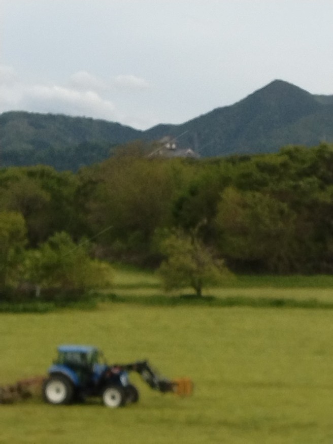 5月4日　イタリアングラス刈取（福知山城バックに）1