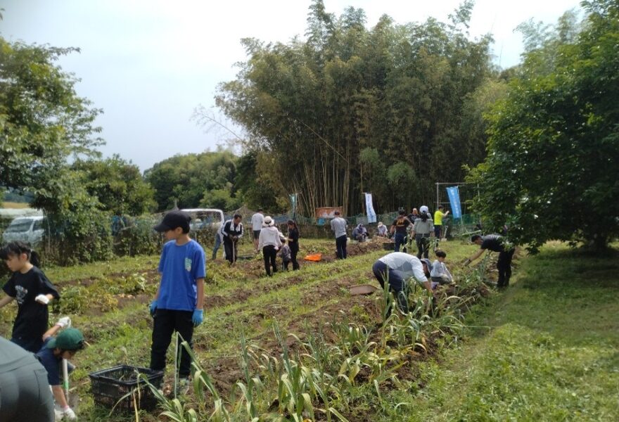 6月6日（土）遊休農地活用、自衛隊家族さんとの収穫祭、収穫後有志でさつま芋植え