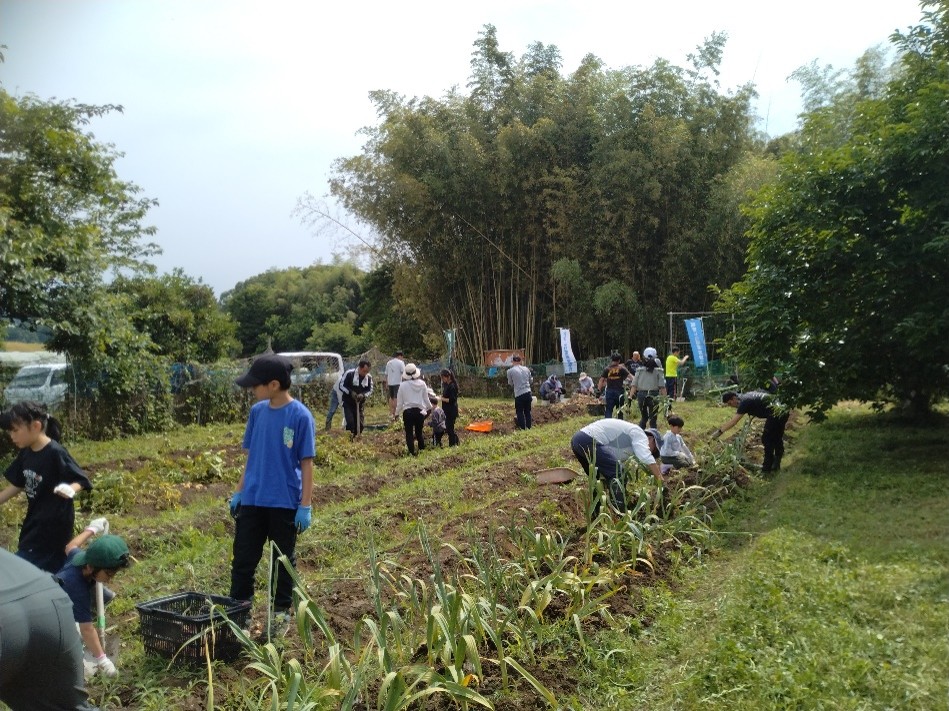 ６月６日（土）遊休農地活用、自衛隊家族さんとの収穫祭、収穫後有志でさつま芋植え1